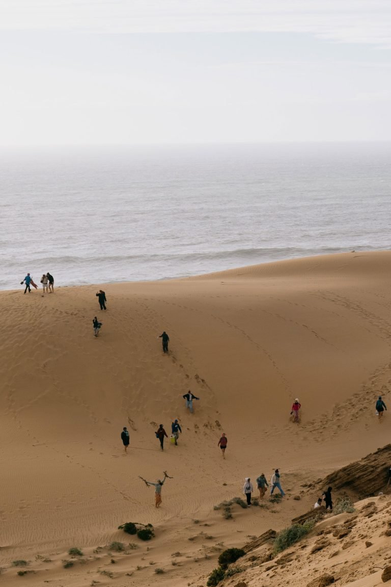 women-surfcamp-marocco_extras_trip_desert_dunes
